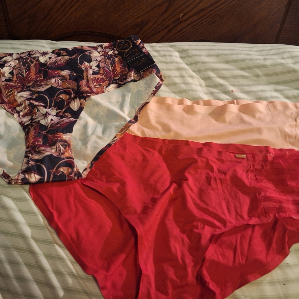 Plus Size Bra and Pantie Sets - 2 Bras  3 Panties